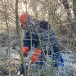 heggenvlechter aan het werk