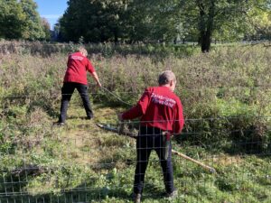 Twee vrouwen met een zeis en een rode trui maaien een veldje