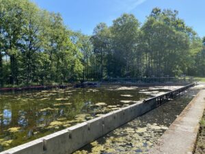 Een van de schaalmodellen van het waterloopbos, met bomen op de achtergrond