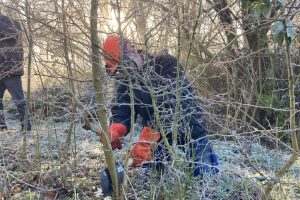 heggenvlechter aan het werk